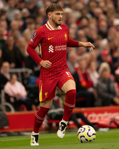 作为一名新 作为一名新