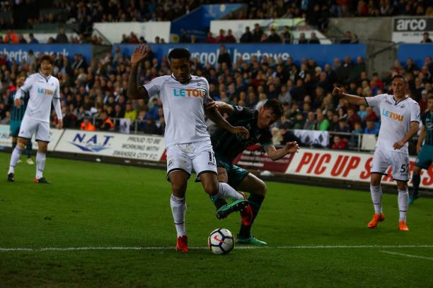 在美国新星 在美国新星