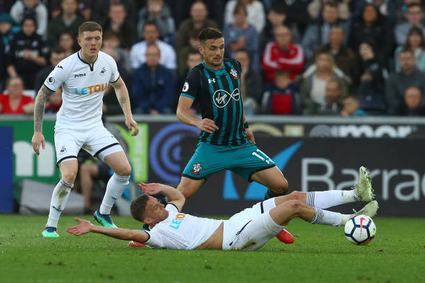 迪洛伦佐的 迪洛伦佐的