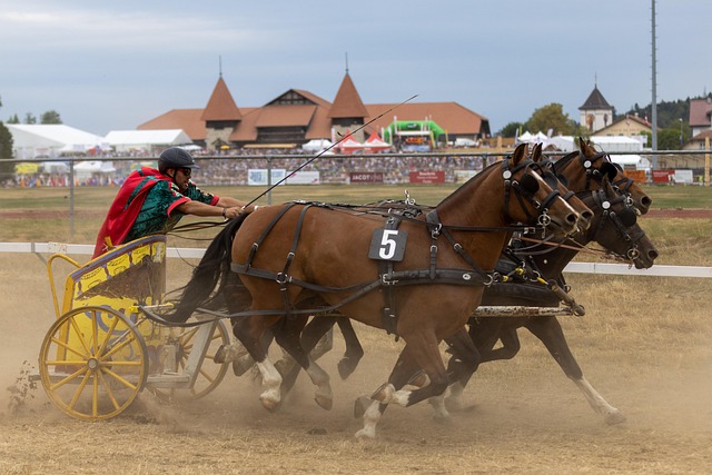 入显著增长 入显著增长